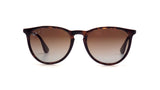 Ray-Ban Unisex Erika Sunglasses In Brown