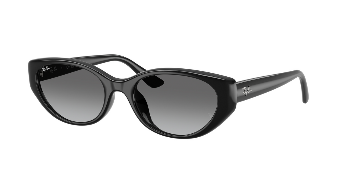Ray-Ban Womens Oval Gradient Sunglasses In Black