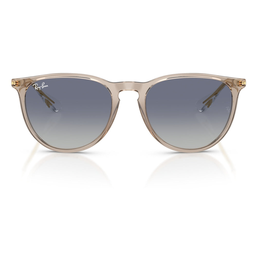 Ray-Ban Erika Womens Sunglasses In Transparent