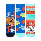 Character Group Boys Paw Patrol 3 Pack Crew Socks In Blue Multi