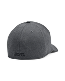Under Armour Mens Blitzing Str Cap In Grey