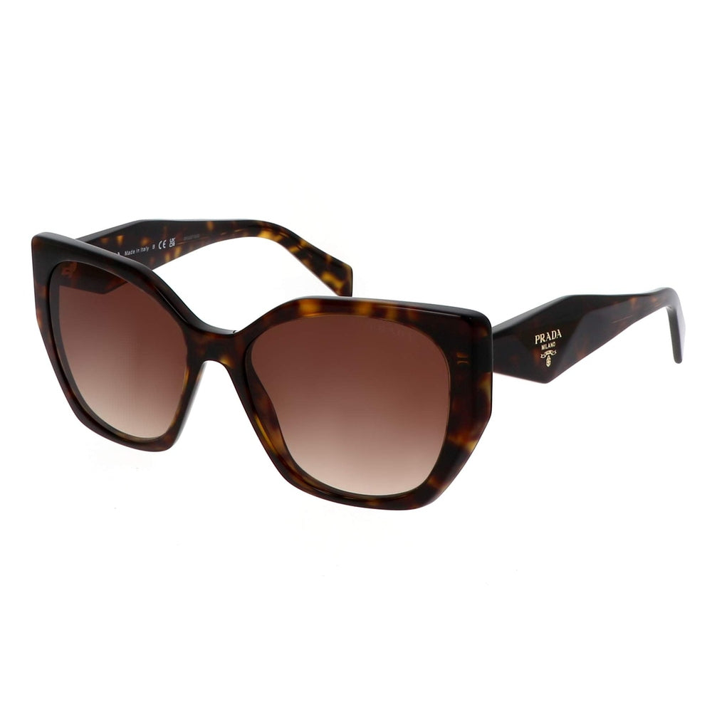 Prada Womens Encircled Frame Sunglasses In Tortoise