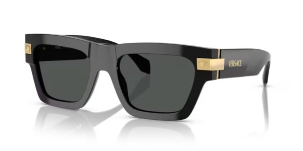 Versace Black And Gold Sunglasses VE4464