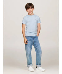 Tommy Hilfiger Boys Cotton Regular Fit T-Shirt In Blue