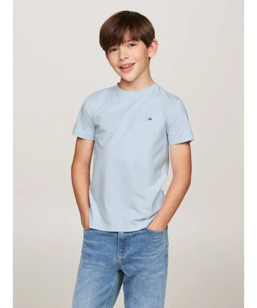 Tommy Hilfiger Boys Cotton Regular Fit T-Shirt In Blue