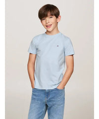 Tommy Hilfiger Boys Cotton Regular Fit T-Shirt In Blue