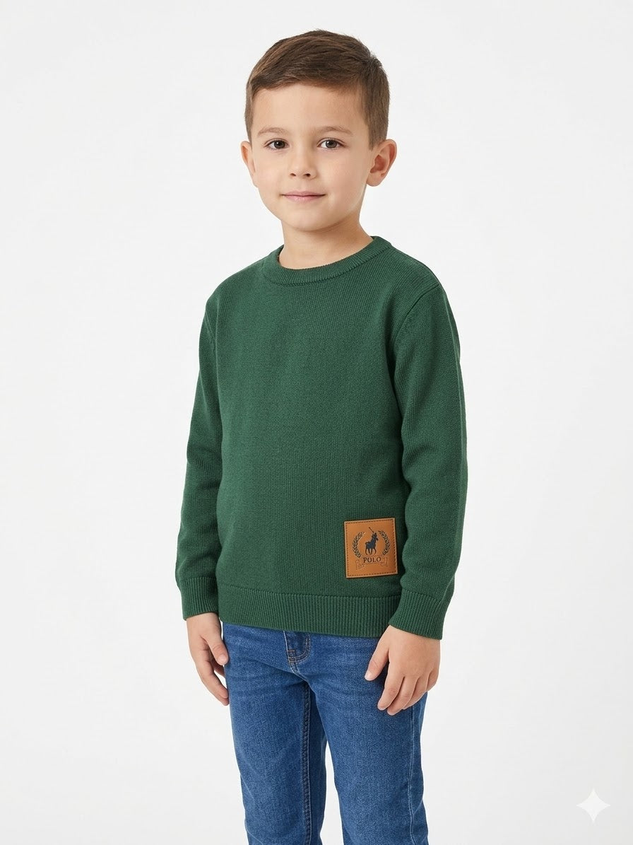 Polo Boys Printed Sweater In Forest Green