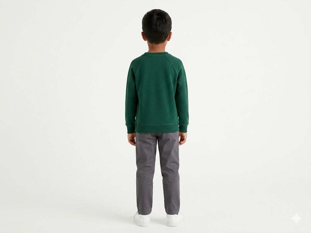 Polo Boys Printed Sweater In Forest Green