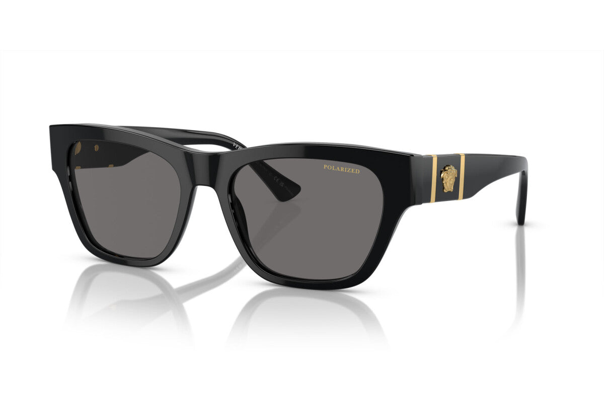 Versace Black And Gold Sunglasses VE4457